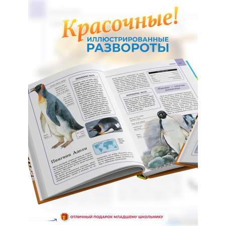 Книга Харвест Книга большая Энциклопедия для детей школьников Животные для чтения с иллюстрациями