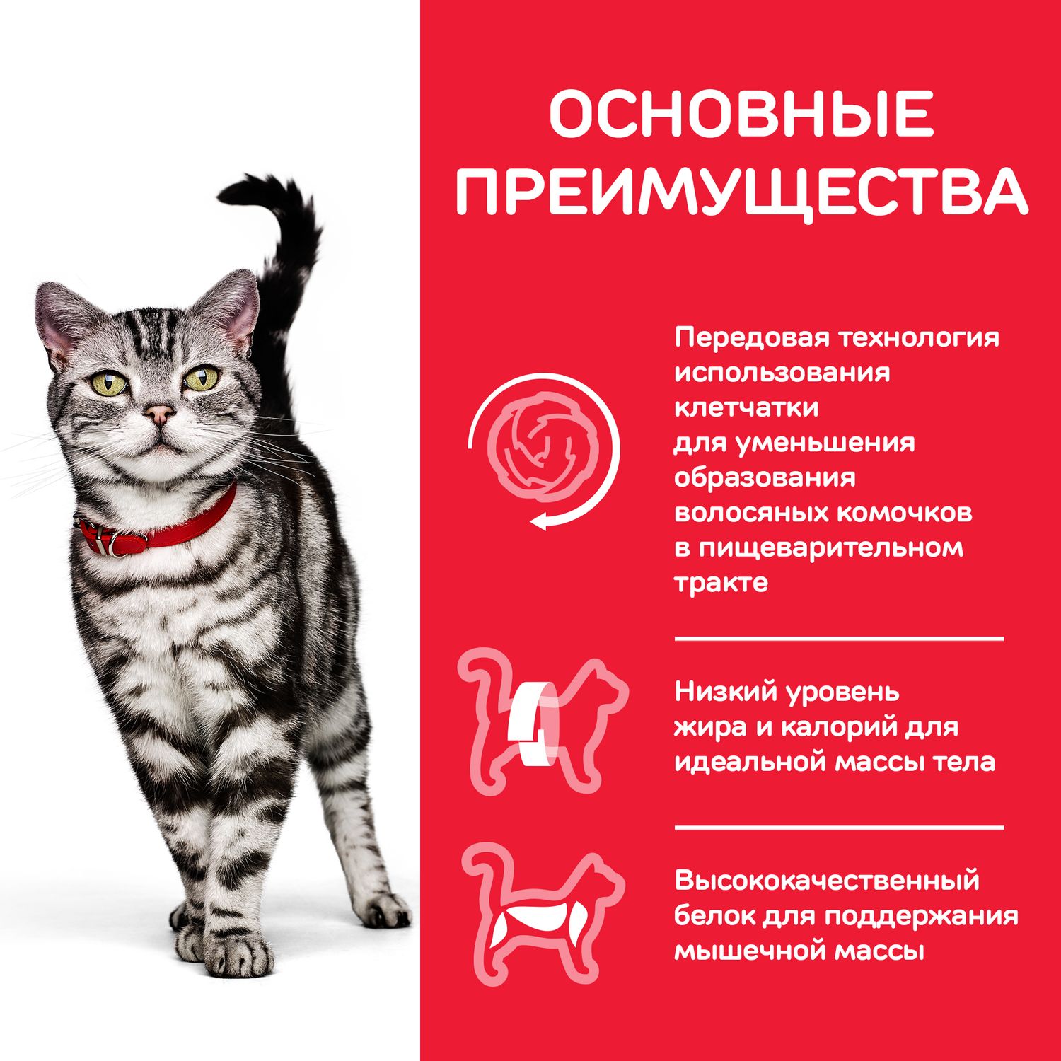 Корм сухой для кошек HILLS 10кг Science Plan Hairball Indoor с курицей для выведения шерсти из желудка - фото 5