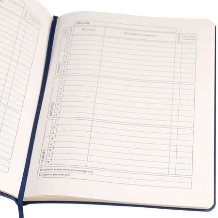 Дневник школьный Prof-Press Do your best 48 листов кожзам 1-11 класс