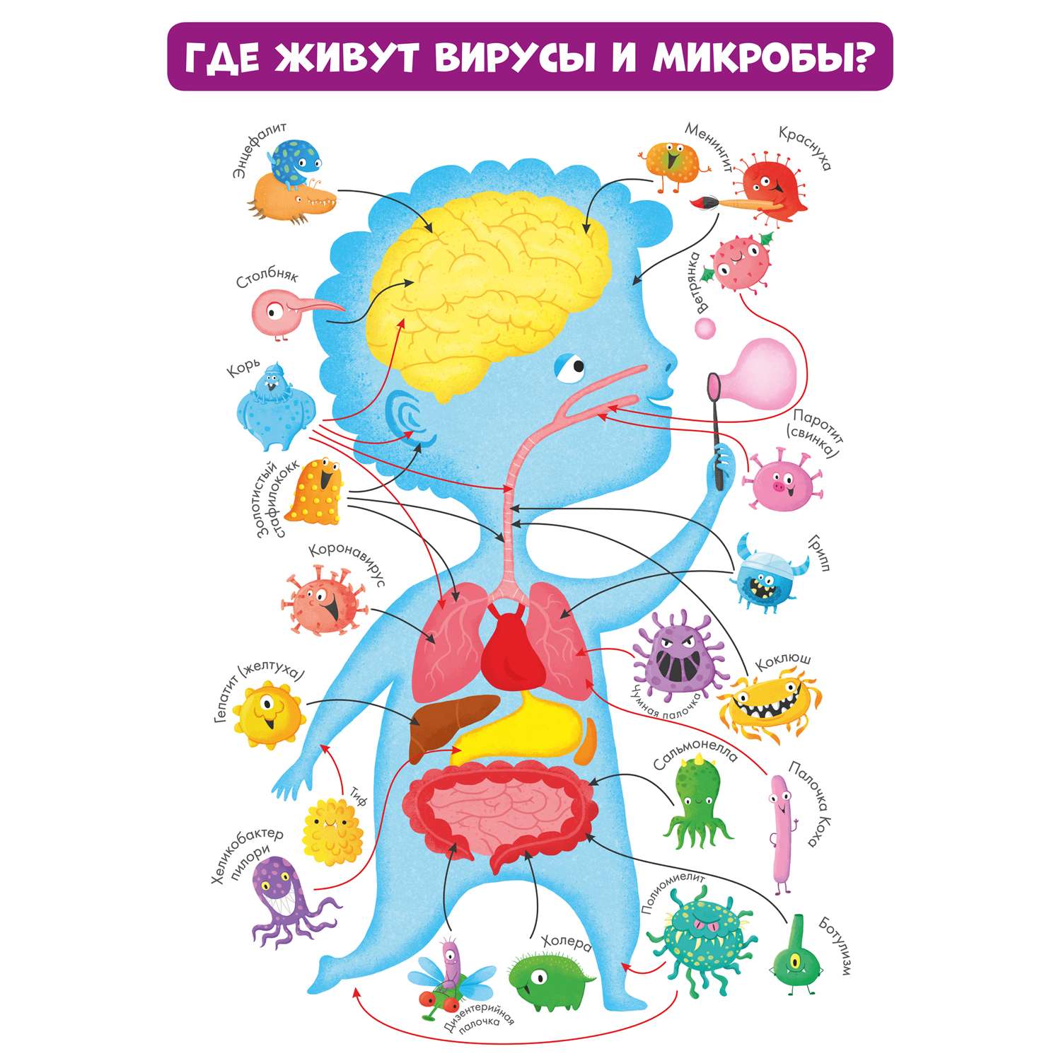 Книга Clever Издательство Вирусы и микробы. 10 познавательных плакатов - фото 2