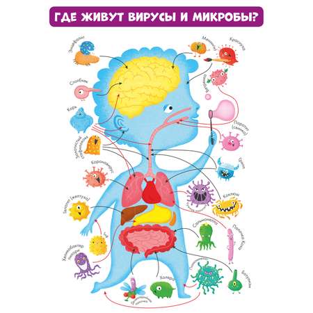 Книга Clever Издательство Вирусы и микробы. 10 познавательных плакатов
