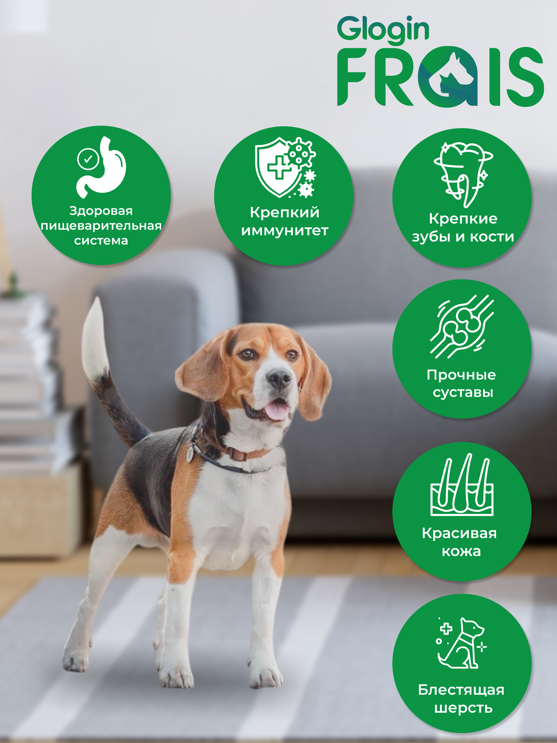 Консервированный корм Frais Влажный корм Holistic Dog для собак кусочки мяса в желе с индейки 850г - фото 5