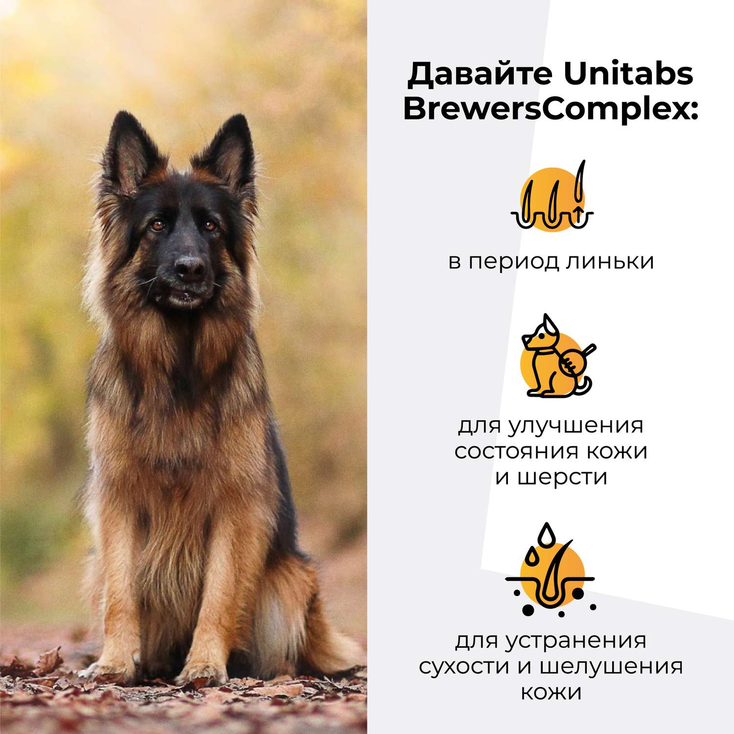 Витамины для собак Unitabs Brewers Complex крупных пород с пивными дрожжами и Q10 100таблеток - фото 4