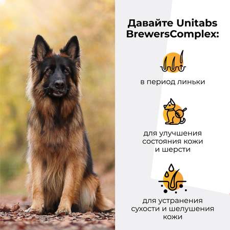 Витамины для собак Unitabs Brewers Complex крупных пород с пивными дрожжами и Q10 100таблеток