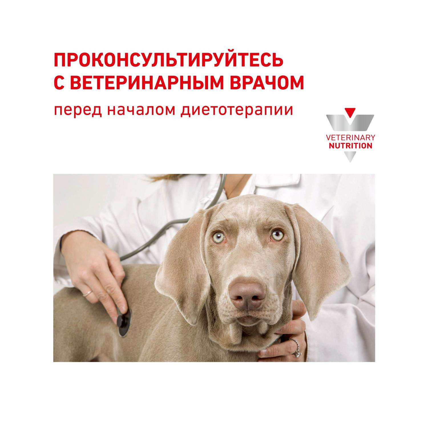 Корм для собак ROYAL CANIN Urinary S/O Small Doг USD 20 при мочекаменной болезни струвиты оксалаты маленьких пород 1.5кг - фото 10