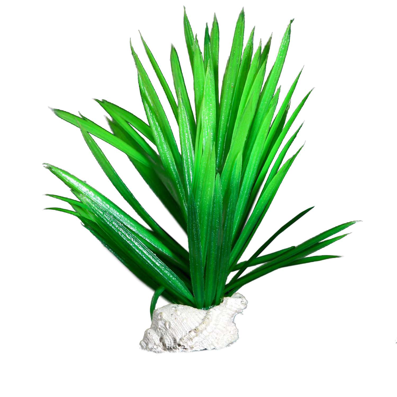 Растение для аквариума Пижон Аква на подставке с ракушкой зелёное - фото 1