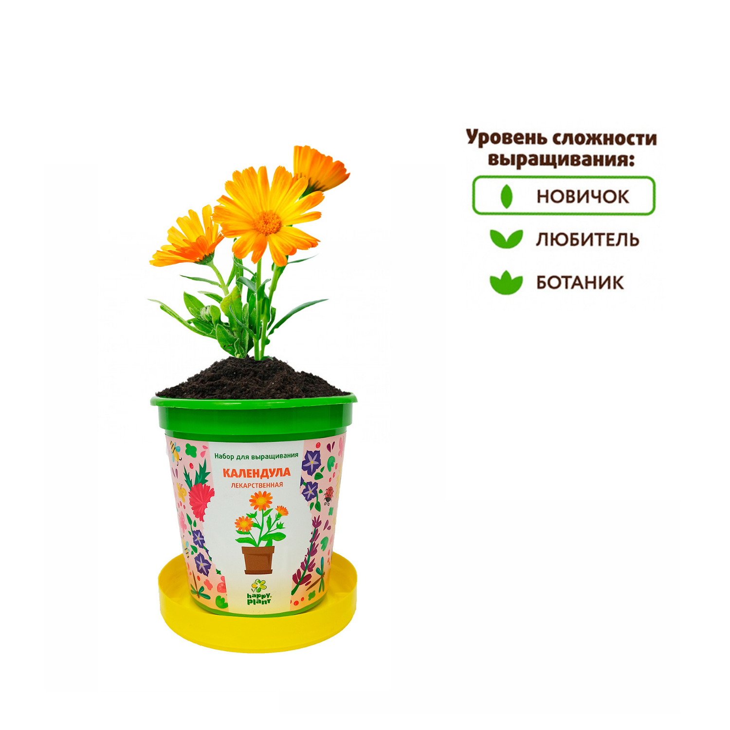 Набор для выращивания Happy Plant Вырасти сам растение в горшочке Календула лекарственная - фото 4