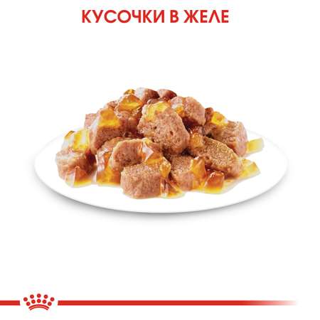 Корм влажный для пожилых кошек ROYAL CANIN Ageing 85г желе пауч