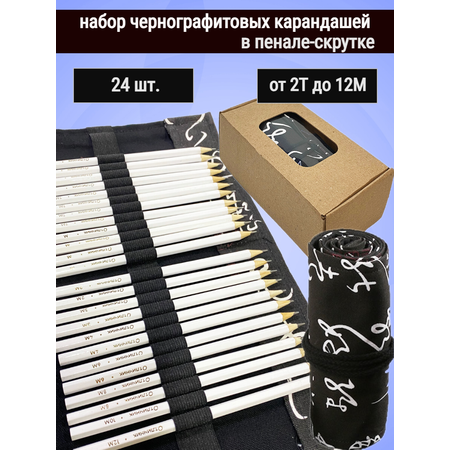 Набор карандашей Отличник Чернографитовые 24 штуки 2Т-12М в пенале-скрутка Иероглифы