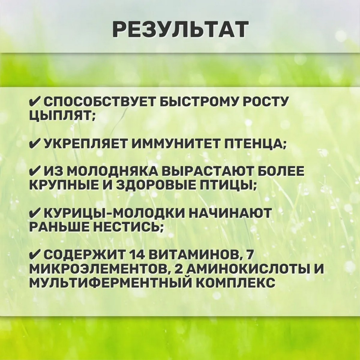 Премикс для цыплят Ваше Хозяйство Здравур цып-цып 250г - фото 3