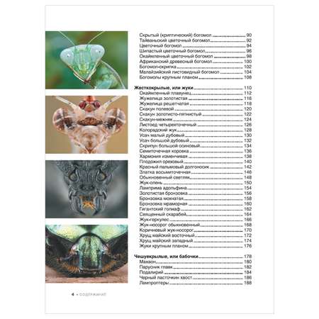 Энциклопедия Большая книга о насекомых 1001фотография