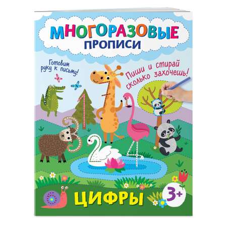 Книга Цифры Пиши и стирай сколько захочешь