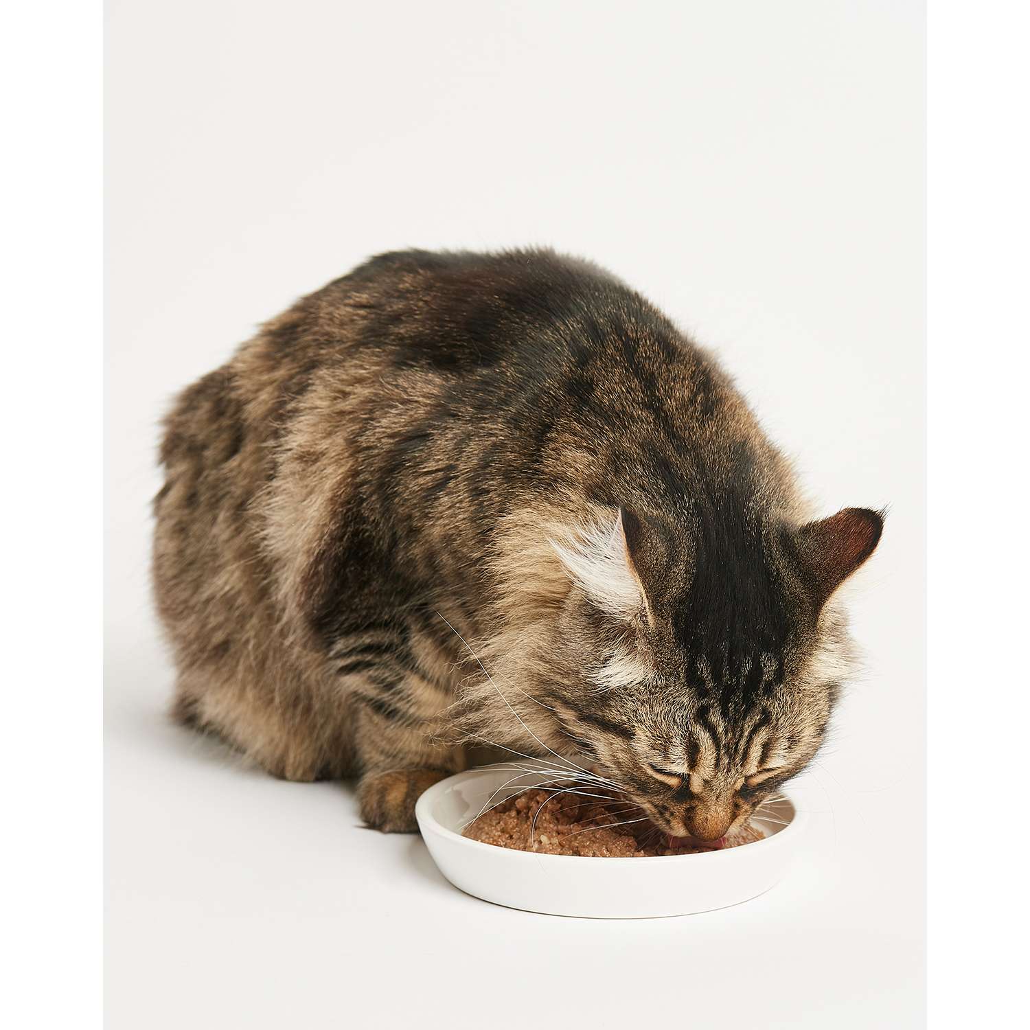 Корм для кошек Harty 100г паштет с ягненком для чувствительного пищеварения консервированный - фото 4