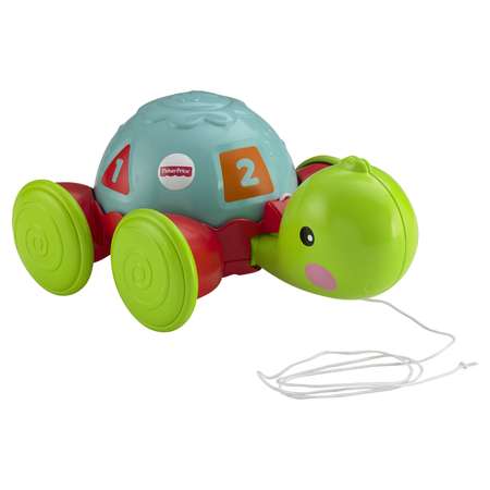 Каталка Fisher Price Обучающая черепаха