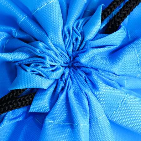 Сумка ArtFox STUDY для обуви «ArtFox study» болоневый материал цвет голубой 41х31 см