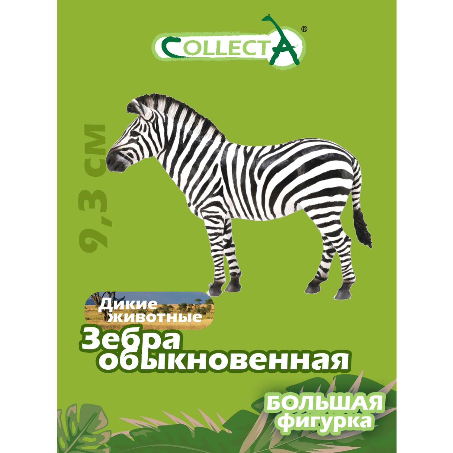 Фигурка животного Collecta Зебра обыкновенная купить по цене 634 ₽ в  интернет-магазине Детский мир