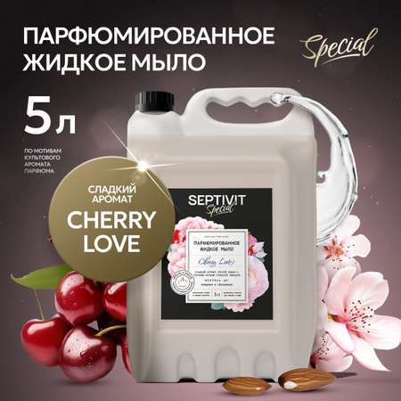 Жидкое мыло парфюмированное SEPTIVIT Premium Cherry Love 5л