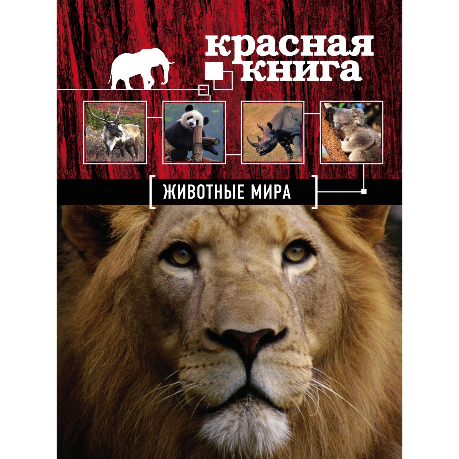 Книга ЭКСМО-ПРЕСС Красная книга Животные мира - фото 3