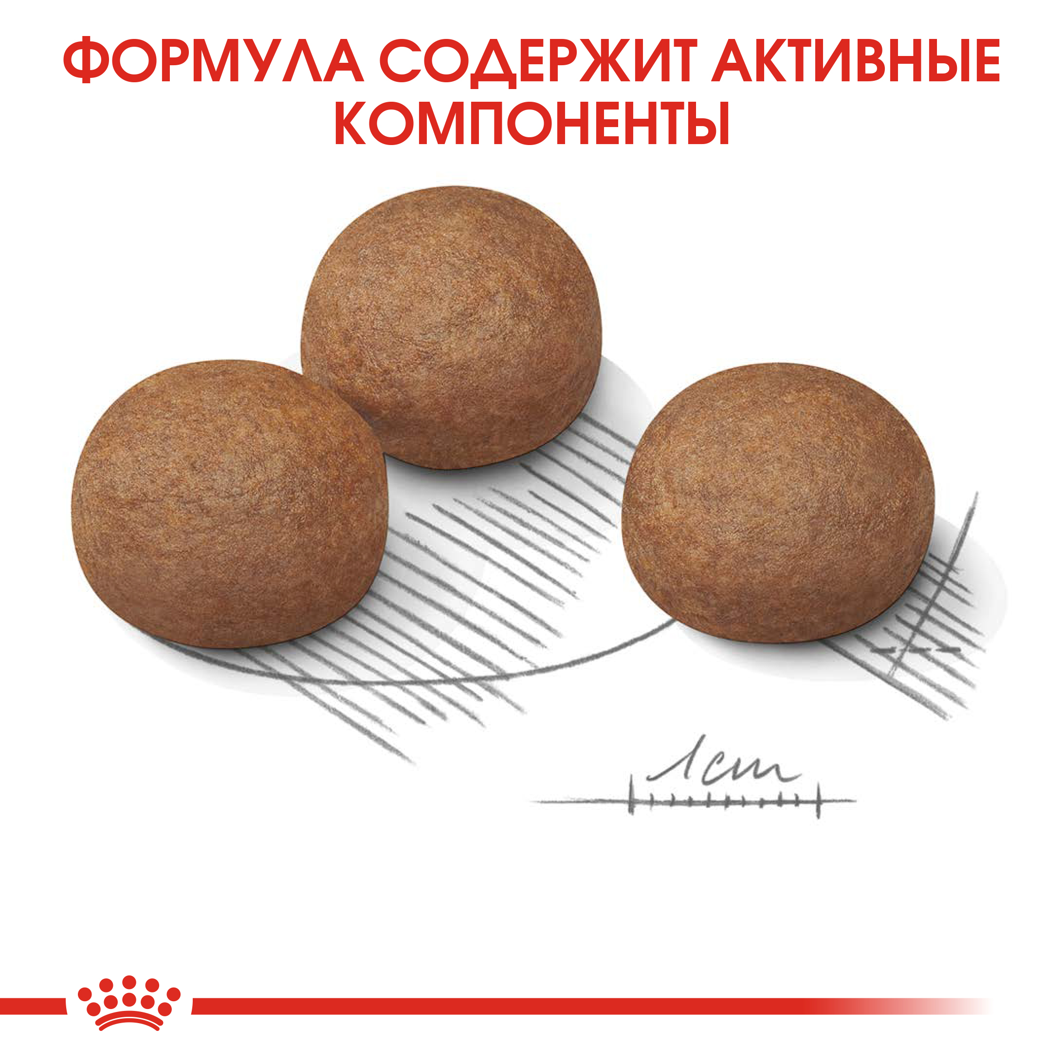 Сухой корм для собак ROYAL CANIN Digestive care 10 кг (лечебный) - фото 6