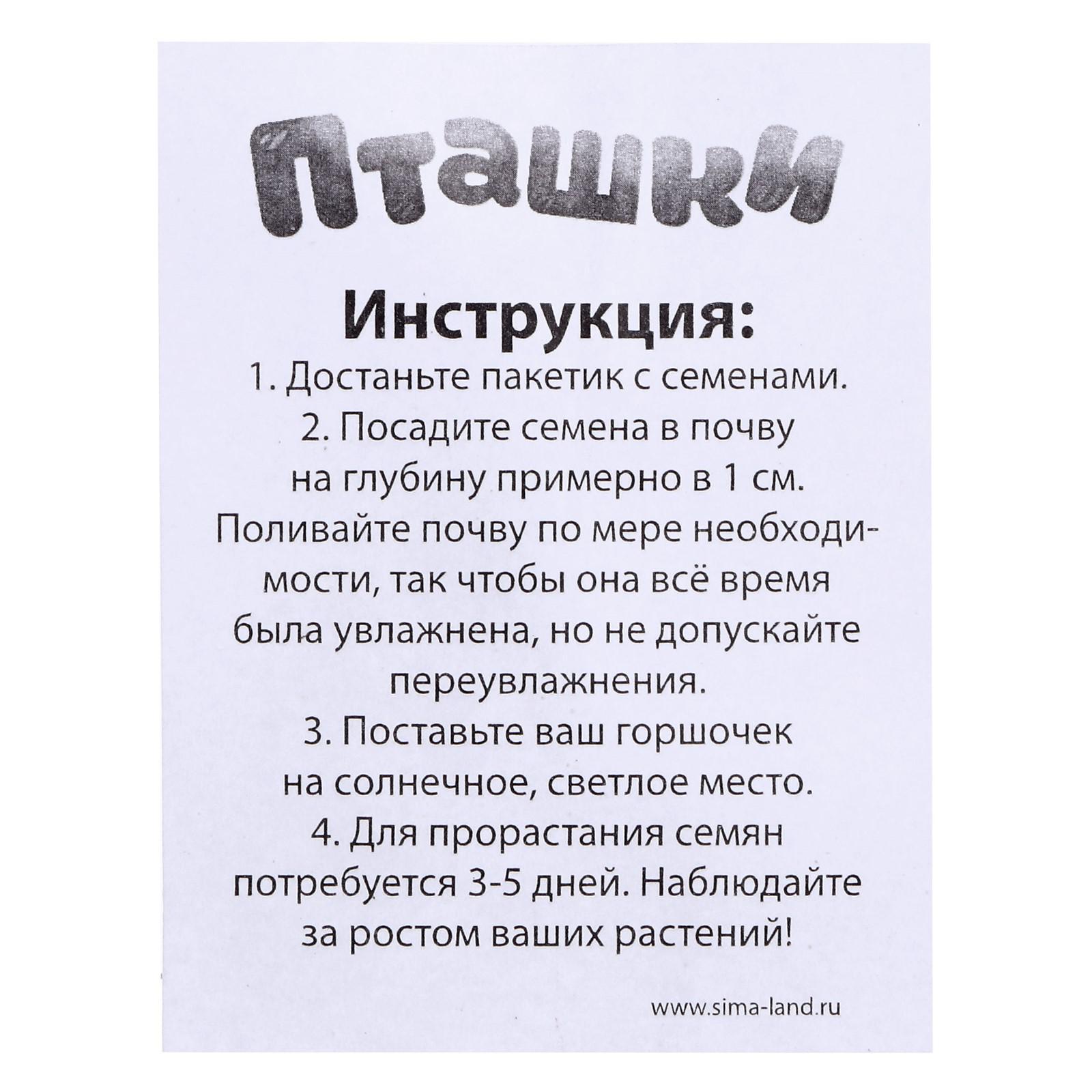 Набор для опытов Эврики Пташки выращиваем травку фиолетовый горшочек - фото 4