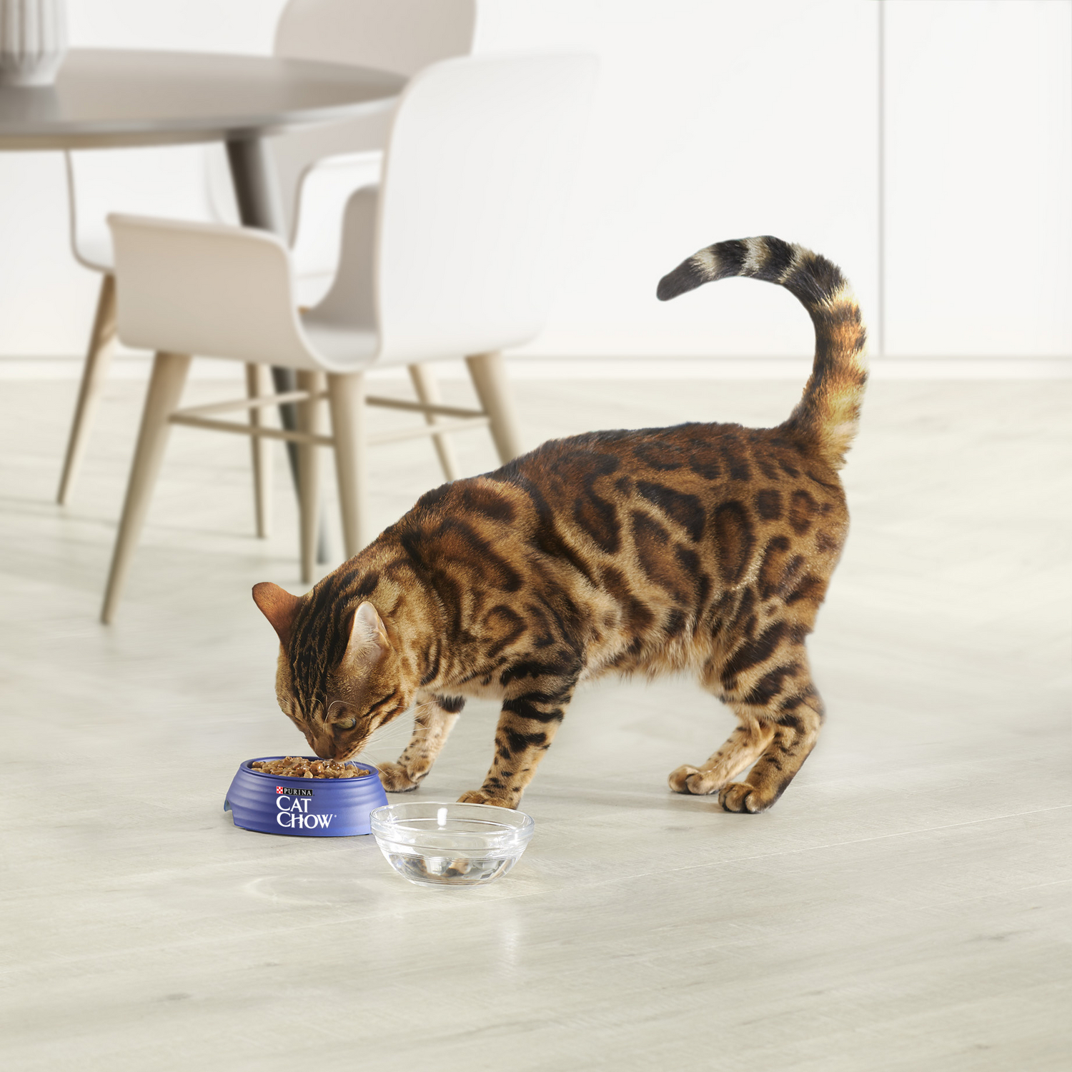 Корм влажный для кошек Cat Chow 85г с курицей и кабачком пауч - фото 9