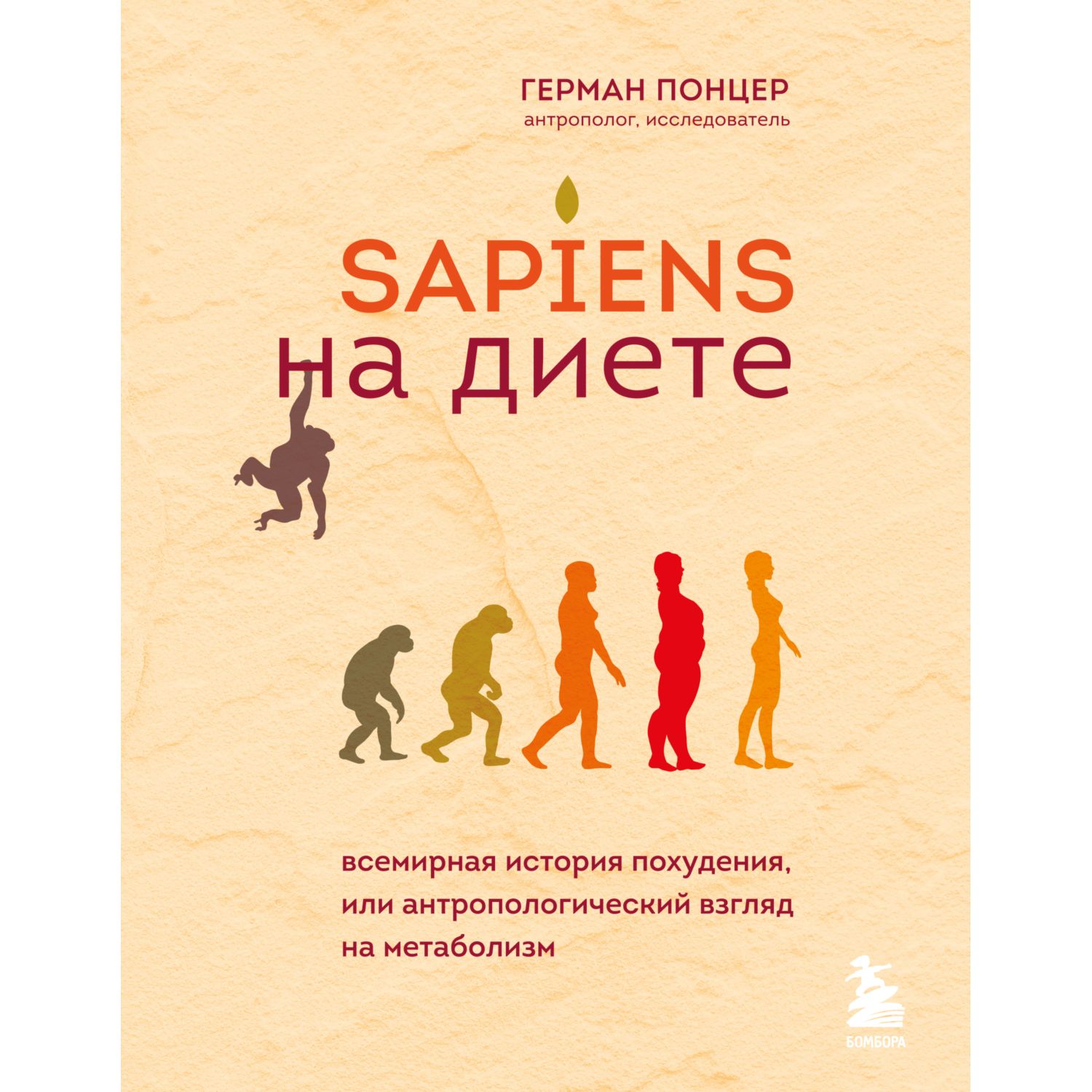 Книга БОМБОРА Sapiens на диете Всемирная история похудения или  антропологический взгляд на метаболизм купить по цене 59 ₽ в  интернет-магазине Детский мир