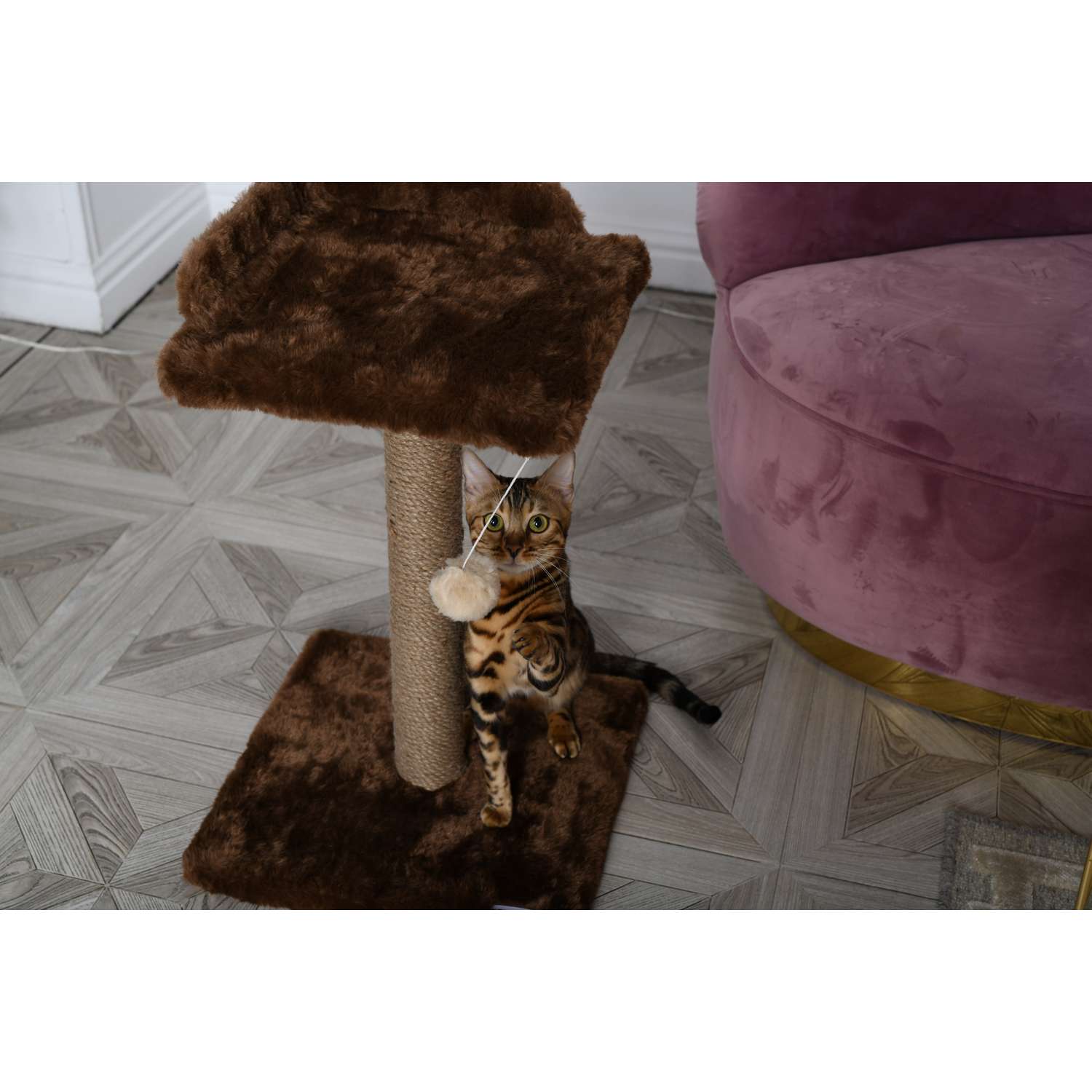Когтеточка для кошек лежанка БРИСИ Коричневый - фото 2