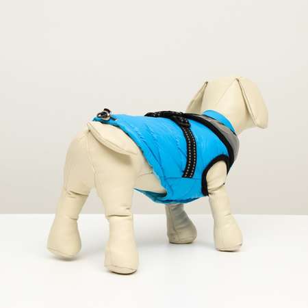 Куртка для собак Sima-Land со светоотражающей шлейкой голубая