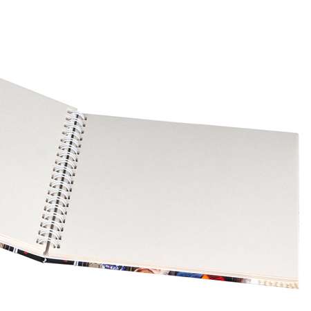 Скетчбук Prof-Press Щенки на крыльце 40 листов на гребне 165х165 мм 100 г/м2
