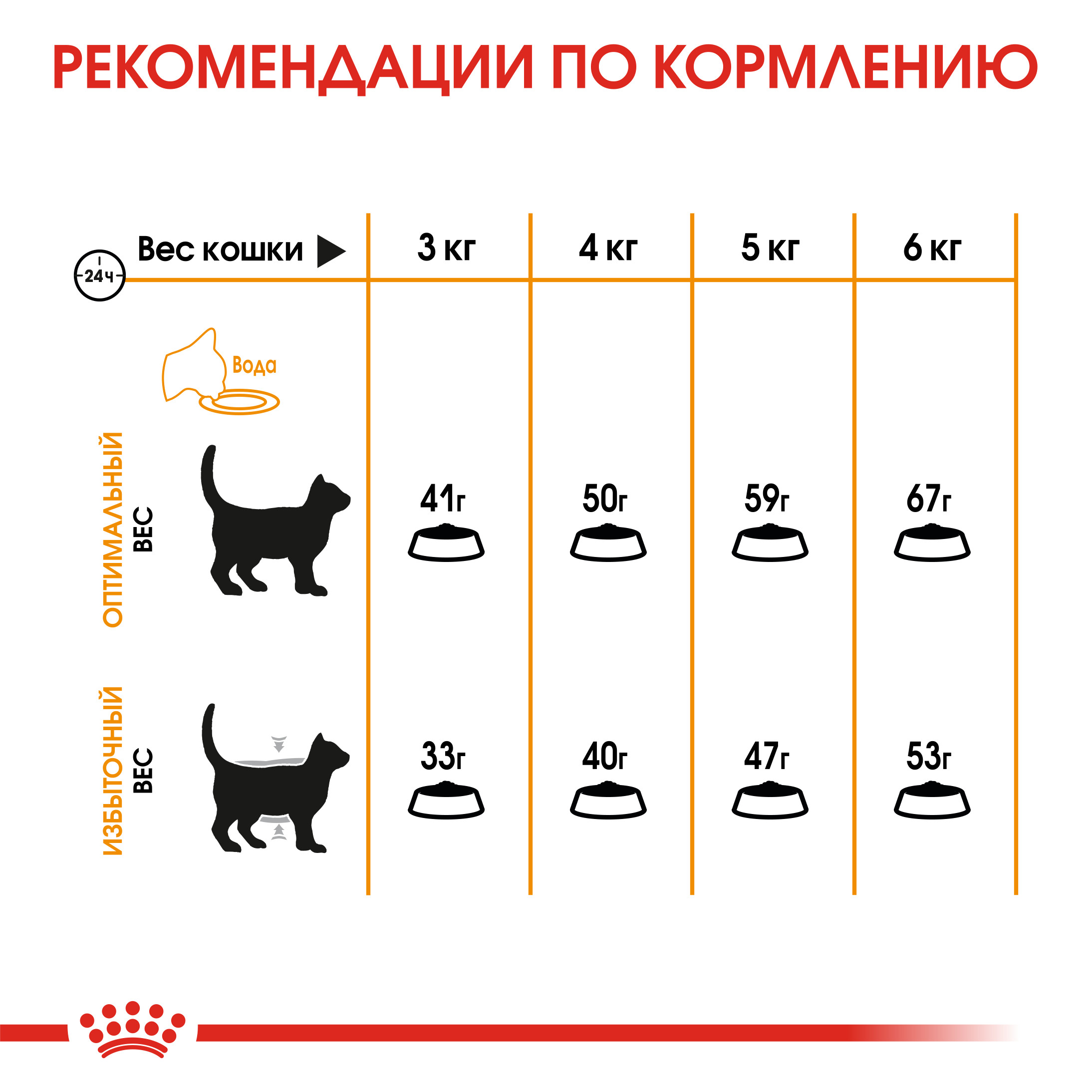 Корм для кошек ROYAL CANIN Hair/Skin Care для поддержания здоровья кожи и шерсти 10кг - фото 7