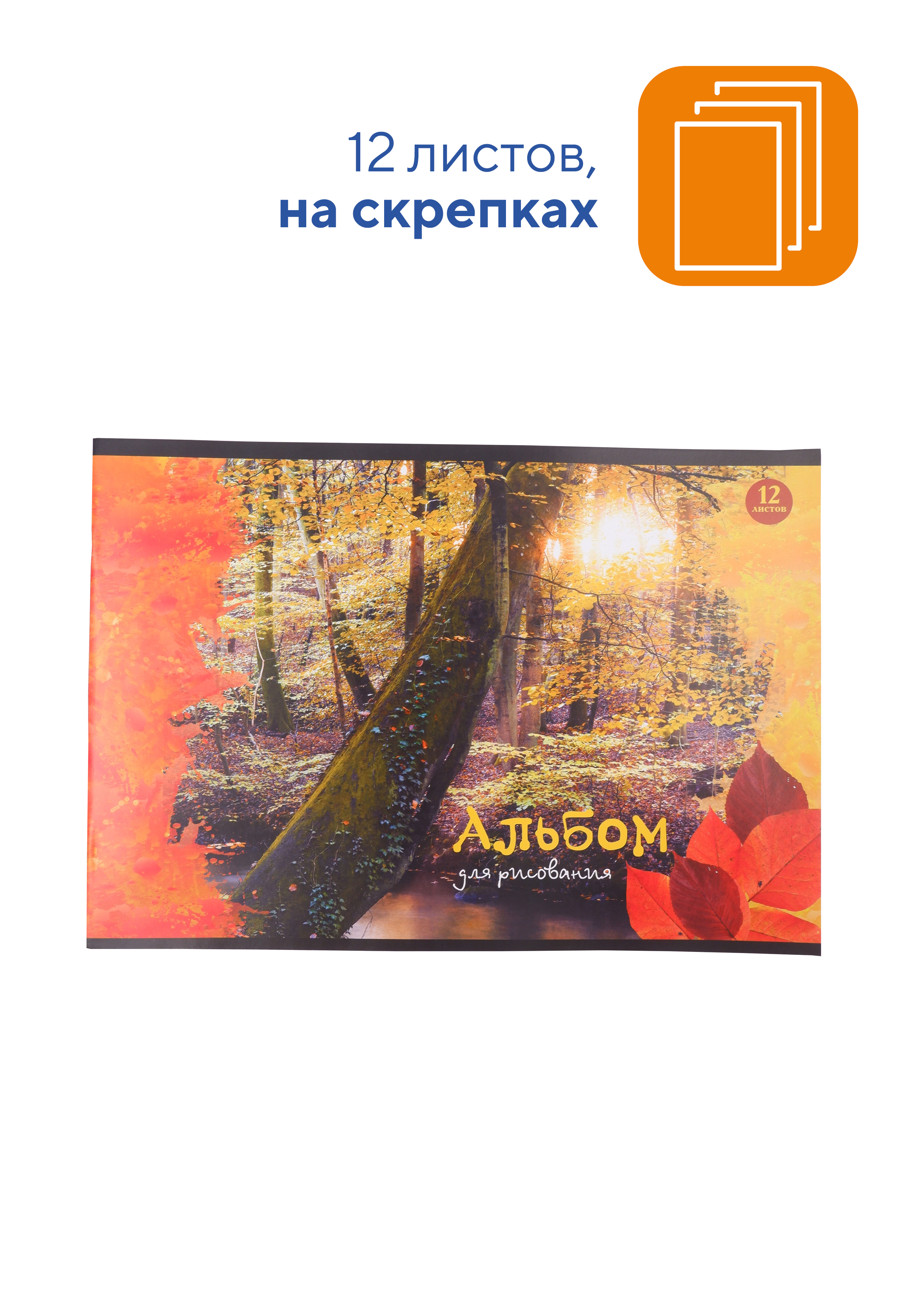 Альбом для рисования WORKMATE 5шт по 12л обложка картон арт 15-0191 - фото 2