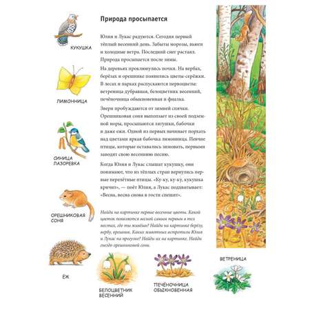 Книга ПИТЕР Весна Находилки-развивалки