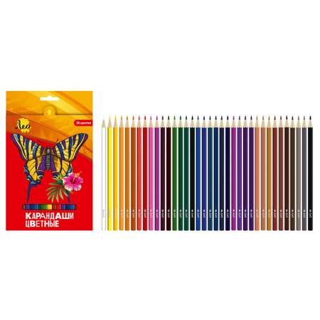 Цветные карандаши Лео «Ярко» LBSCP-36 заточенный 36 цв.