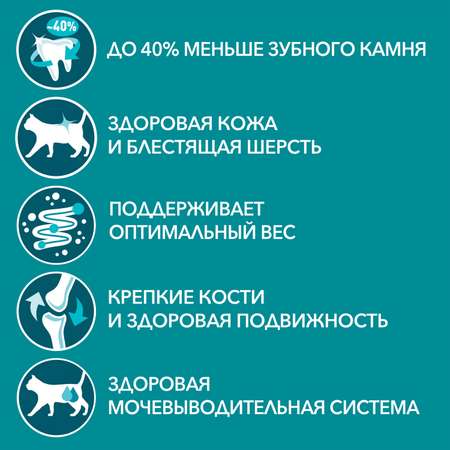 Корм для кошек Purina One взрослая говядина-морковь 75г