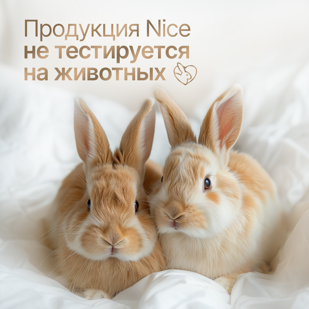 Мыло пенка NICE by Septivit Harmony 5л - фото 7