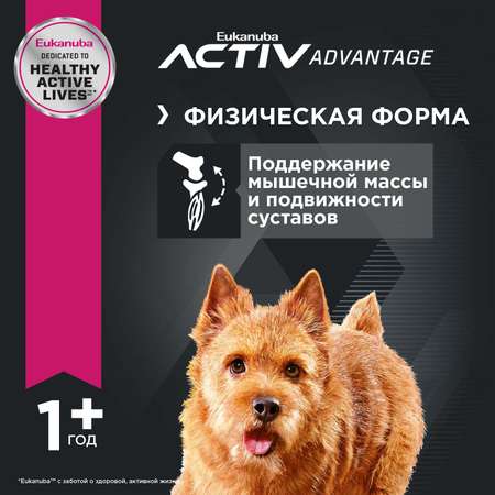 Сухой корм для собак Eukanuba 0.8 кг (полнорационный)