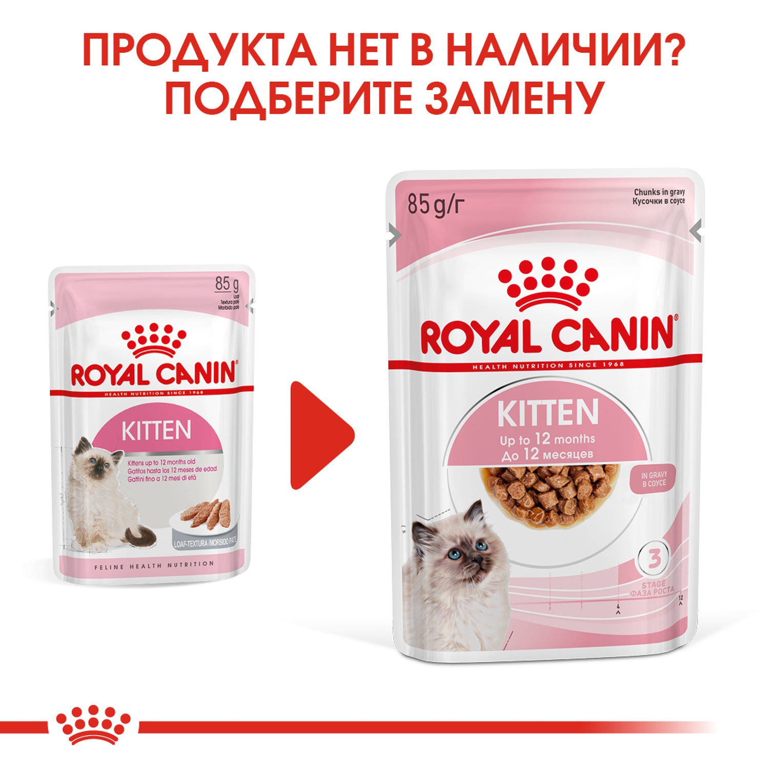 Влажный корм для кошек ROYAL CANIN Kitten 0.085 кг (полнорационный) - фото 5