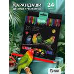 Карандаши SCHOOLFORMAT Дикая планета 24 цвета трехгранные