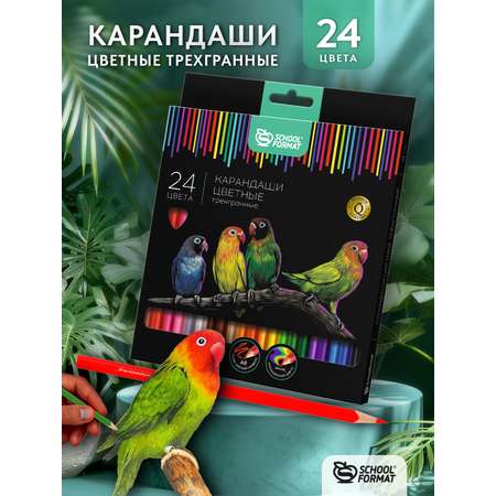 Карандаши SCHOOLFORMAT Дикая планета 24 цвета трехгранные