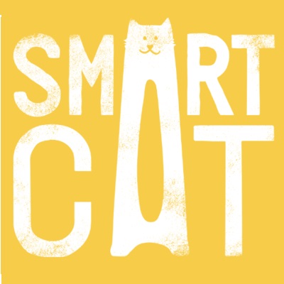 Smart cat