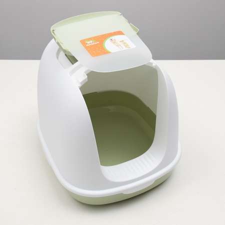 Туалет закрытый Пижон с совком 47х40х39 см бело-зеленый