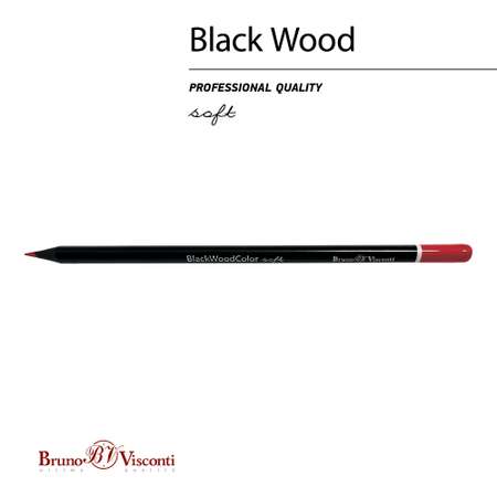 Карандаши цветные Bruno Visconti BlackWoodColor 24 цвета пластиковые