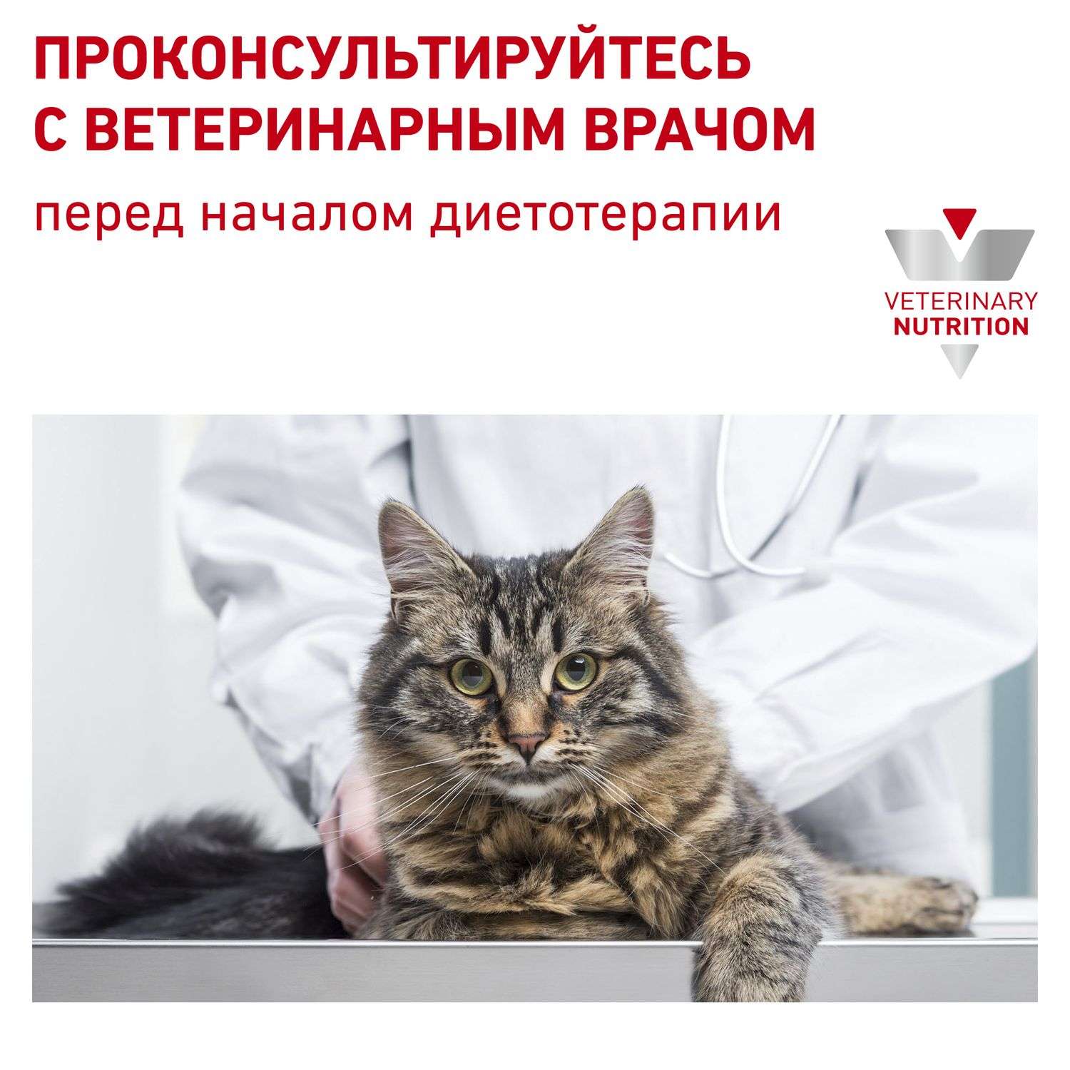 Корм для кошек ROYAL CANIN Veterinary Diet Urinary S/O LP34 Лечение и профилактика МКБ 3.5 кг - фото 8