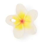 Прорезыватель грызунок OLI and CAROL Hawaii The Flower из натурального каучука