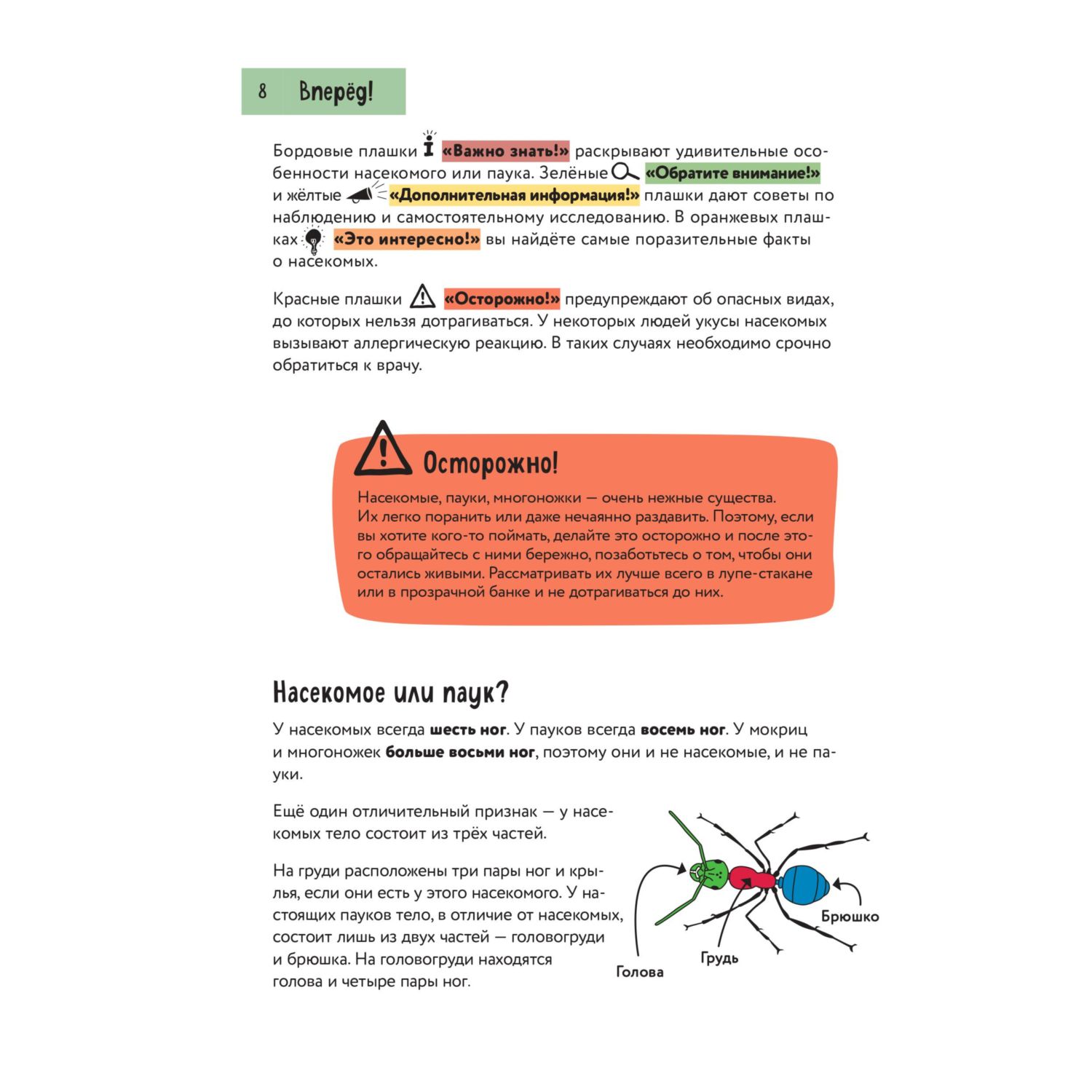 Книга Эксмо Насекомые. Краткий иллюстрированный справочник - фото 7