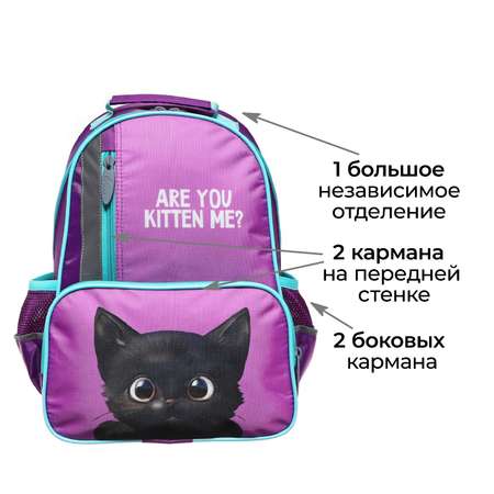 Рюкзак школьный Calligrata 37 х 26 х 13 см эргономичная спинка «Котик черный»