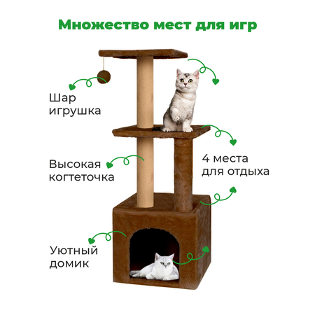 Когтеточка с домиком для кошек ZURAY коричневый