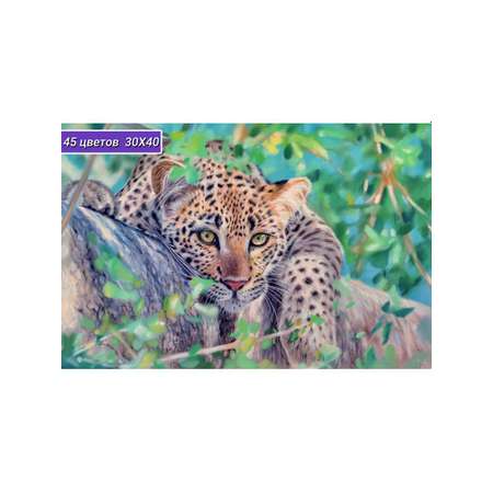 Алмазная мозаика Cristyle картина стразами Леопард 30х40 см Cr 340023
