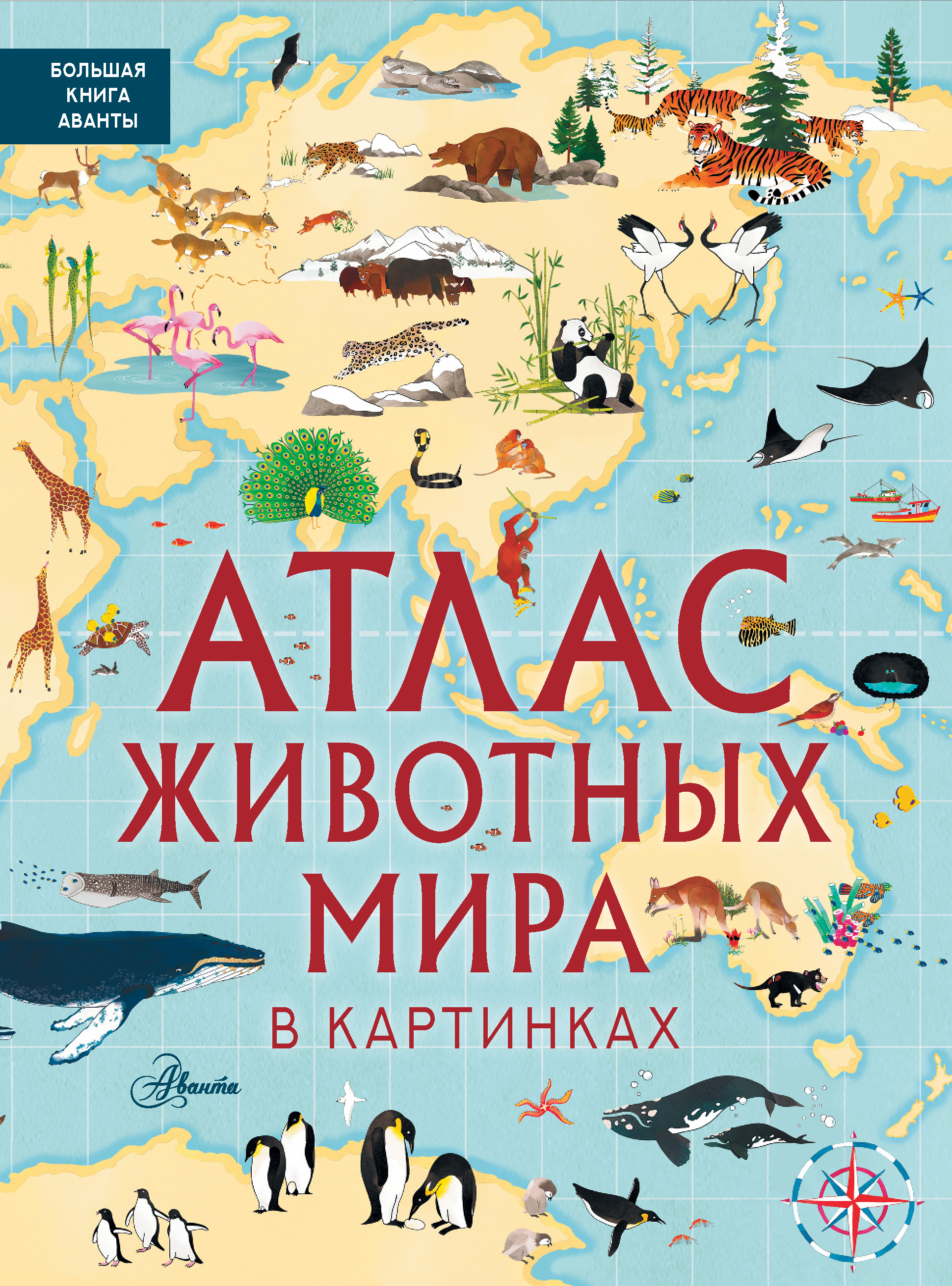 Книга АСТ Атлас животных мира в картинках - фото 1