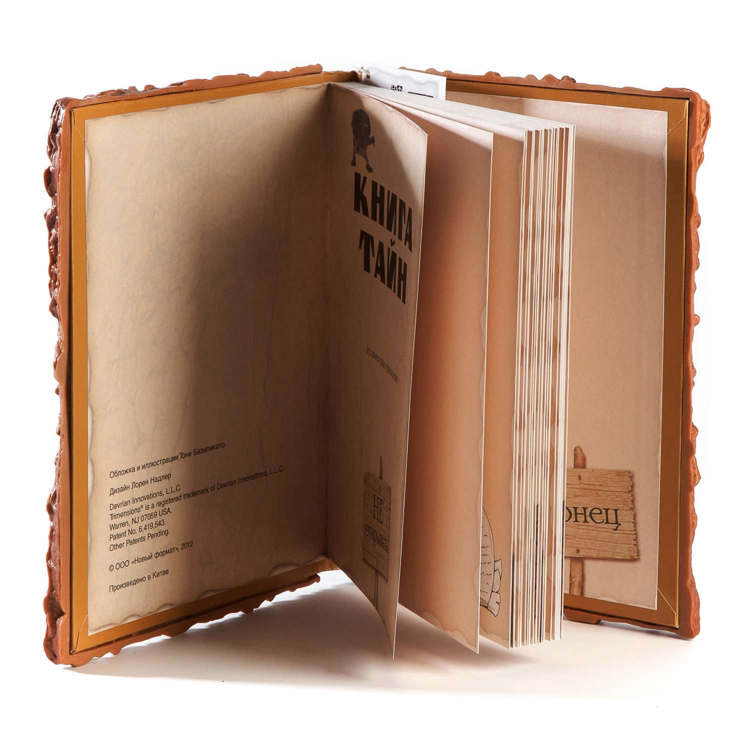 Книга тайн 5. Книга тайн Тони Базиликато. Trimensions / блокнот "книга тайн". Книга для записей Trimensions книга тайн. Обложка для книги.